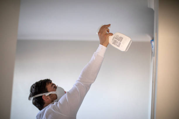 Best Localized Mold Remediation (e.g., coastal areas, humid climates) in Green Village, NJ