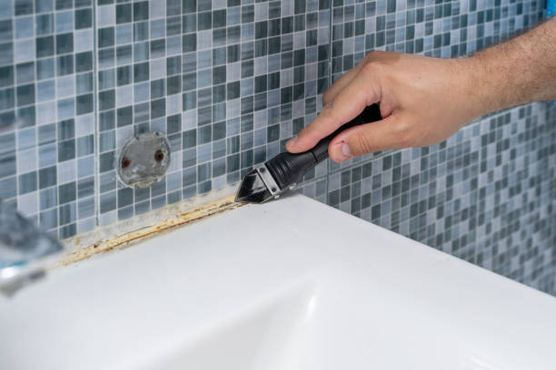 Best Mold Remediation for Specific Building Types in Green Village, NJ