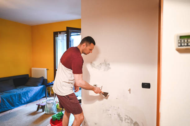 Best Commercial Mold Remediation in Green Village, NJ